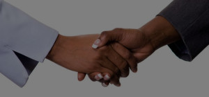 Level 2 BEE Contributor